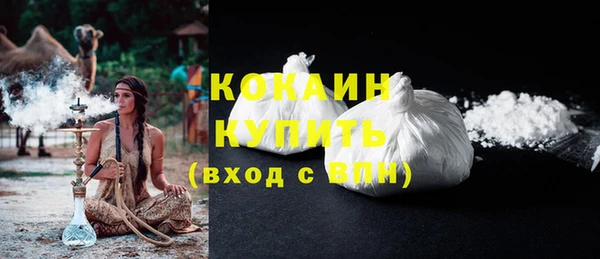 стаф Бородино
