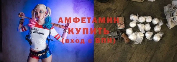 стаф Бородино