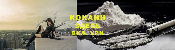 ECSTASY Богданович