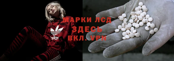 стаф Бородино
