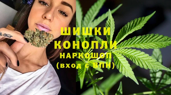 стаф Бородино