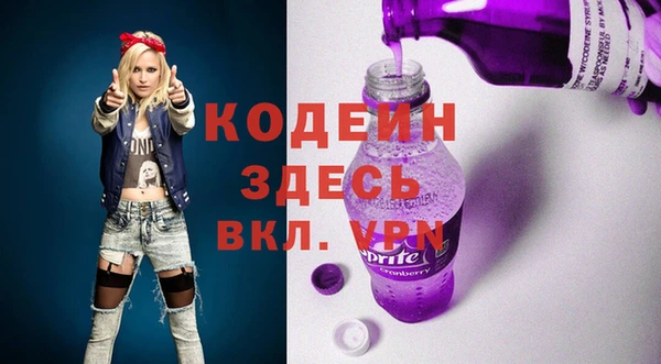 стаф Бородино