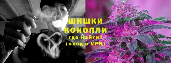 ECSTASY Богданович