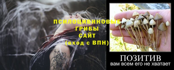 стаф Бородино