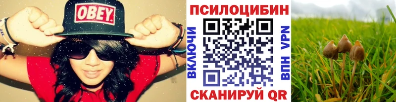 наркота  Череповец  Галлюциногенные грибы мицелий 